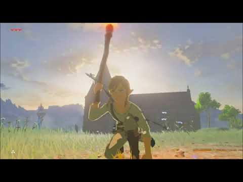 Apparently, you can set butterflies on fire in BotW ...