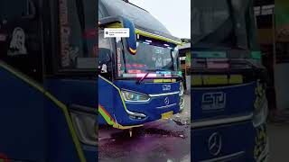 STJ DRAKA CLEOPATRA DEALOVA
