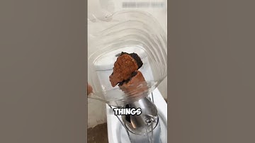 The Crazy Constipation Solution