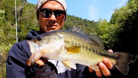 Crossover Bass Fishing Secrets from a Pro