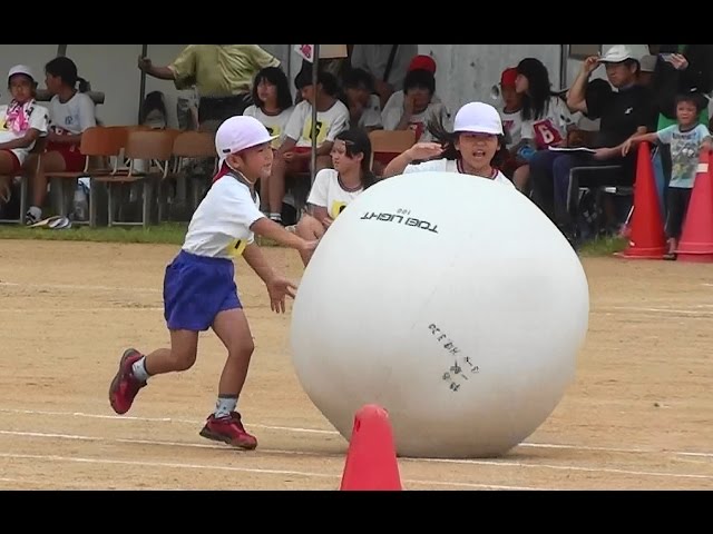 大玉ころがし