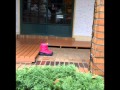 男と女のお話(昭和45年)インストルメント