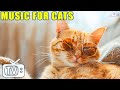 Healing music for stressed cats  separation anxiety relief music for cats cats favorite music