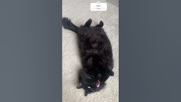 Java Beans relaxing #JavaBeans