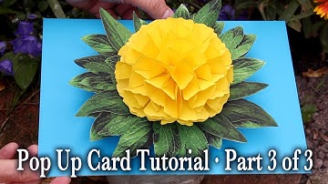 Flower Pop Up Card Tutorial Part 3 of 3