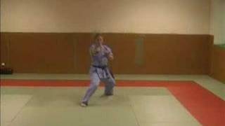 Famous Sandra Hess Showreel- European Martial Arts Champ Net Worth