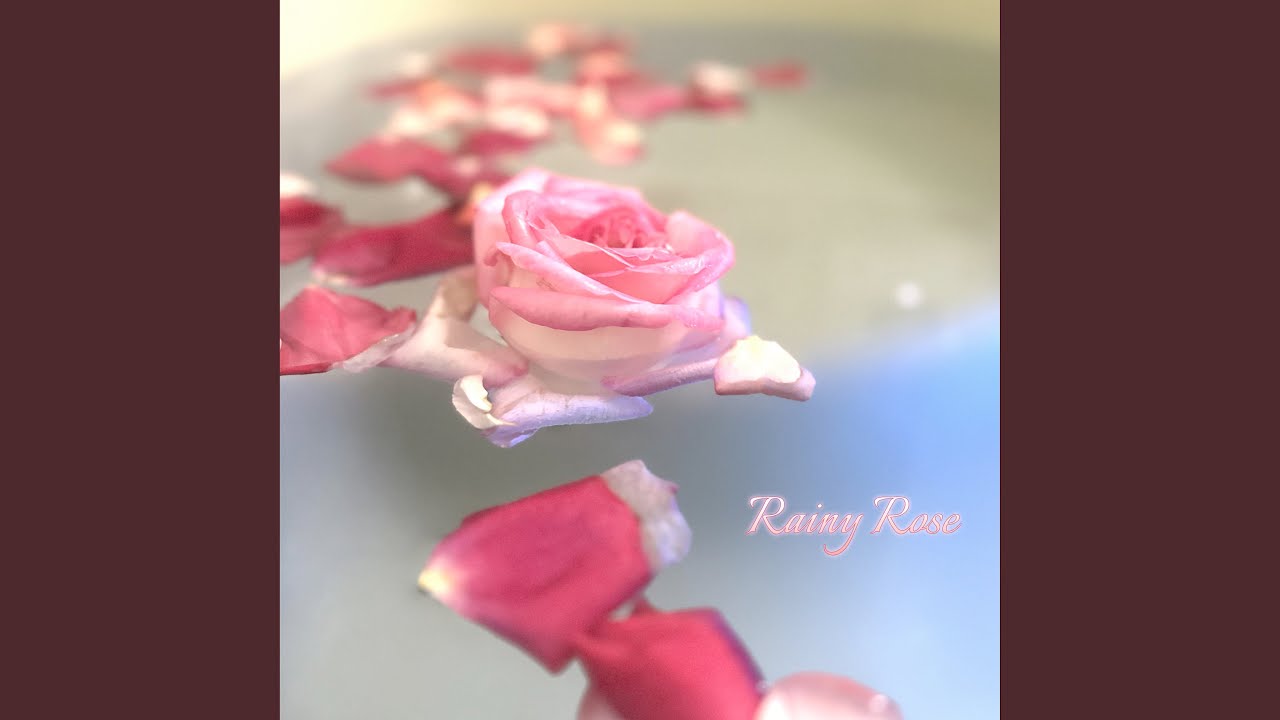 Rainy Rose bekijken op YouTube Rainy Rose bekijken op YouTube