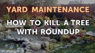 Famous How to Kill a Tree With Roundup Net Worth