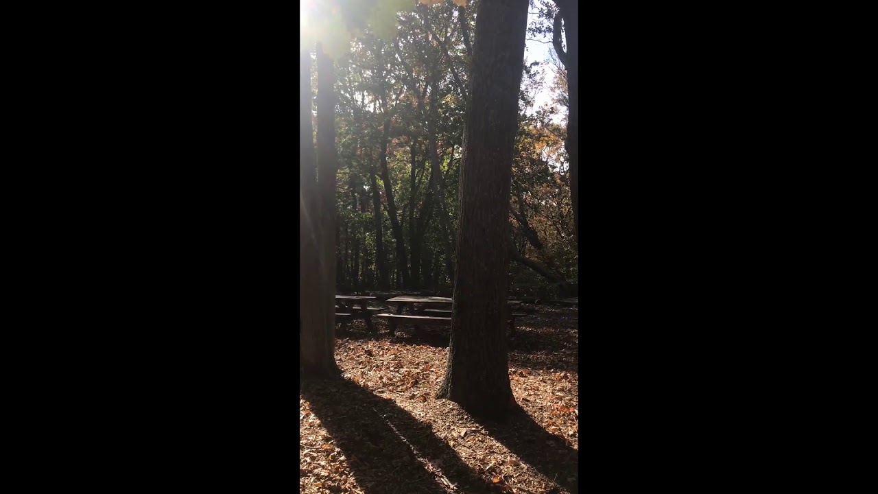 King Arthur and Patsy YouTube