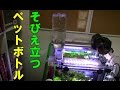 アクアリウム新参者が水槽立ち上げ！part14【NISSO自動給水器水足しくん導入】