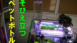 アクアリウム新参者が水槽立ち上げ！part14【NISSO自動給水器水足しくん導入】