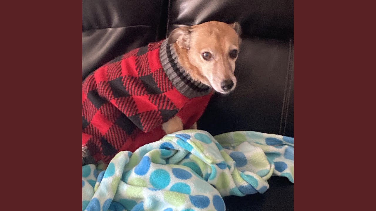 Delivery Fees YouTube Music