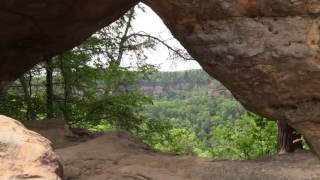 Red River Gorge 2017 Shine On You Crazy Diamond Pink Floyd