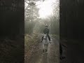 Calming Forest Ride - This Esme