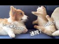 一万人記念!「ととろ」との出会い