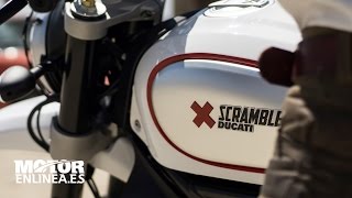 Ducati Scrambler Desert Sled On-Road