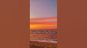 إِنَّ اللَّهَ عِندَهُ عِلْمُ السَّاعَةِ || سورة لقمان || علي جابر