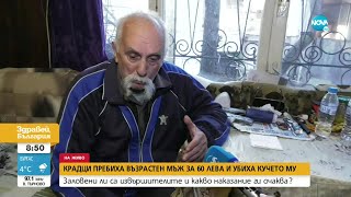 Крадци пребиха възрастен мъж за 60 лв и убиха кучето му - Здравей, България (13.12.2022)