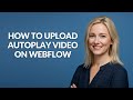 How to Upload Autoplay Video on Webflow - Julia'sTutorials