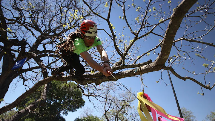2016 World Tree Climbing Championship Final; James...