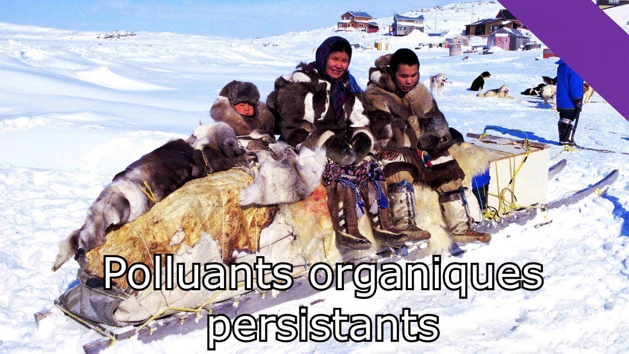 Pesticides, solvants... Les Polluants Organiques Persistants MaP#25