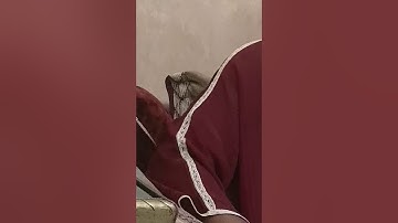 ما تيسر من سورة ءال عمران رفقة الشيخ أحمد عيسى حسن المعصراوي حفظه الله