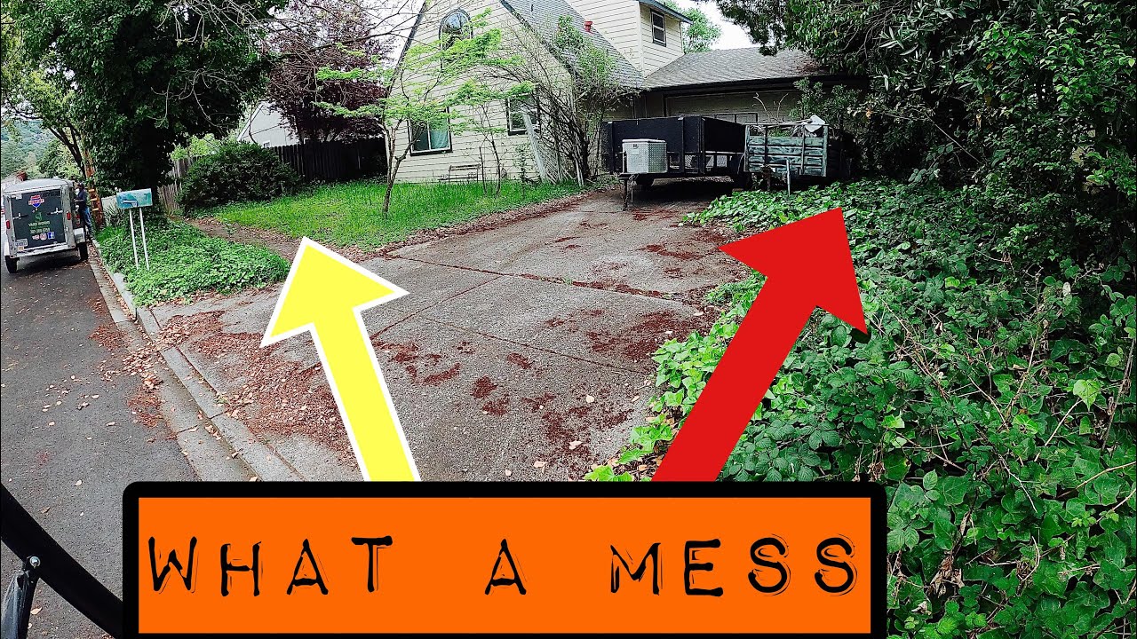 Yard Clean Up On Abandoned House. ( English ) YouTube