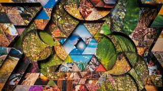 Miguel Atwood-Ferguson - Moksha (Official Audio)
