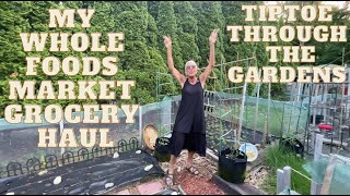 WHOLE FOODS GROCERY HAUL - YUMMY THINGS!!  A VISIT IN THE GARDENS - THE BEANS HAVE SPROUTED - YAY!!