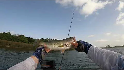 Kayak Bass Fishing in the Grass!