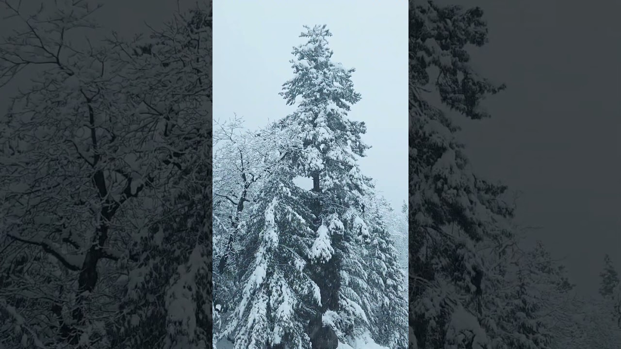 Explore Kashmir Valley 