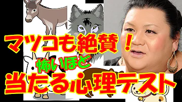 夜ふかし 動物 占い 夜ふかし 動物 占い
