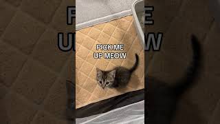 Such A Conversationalist