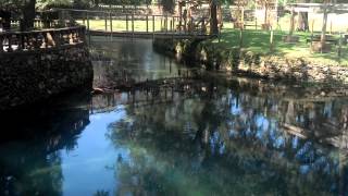 Radium Springs