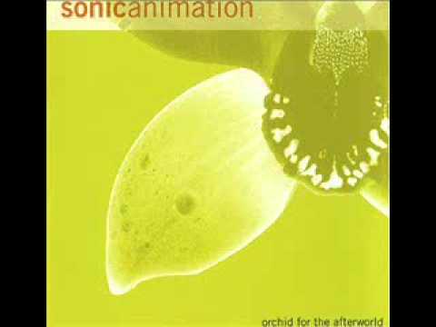 Sonic Animation — Sonic Animation - I Funk Therefore I Am