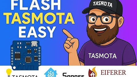 Beginner’s Guide: Flashing Tasmota on a D1 Mini (No Software Needed!).