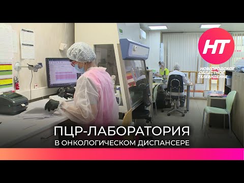 Лаборатория в онкодиспасере, исследующая ПЦР-тесты на коронавирус, работает в напряженных условиях