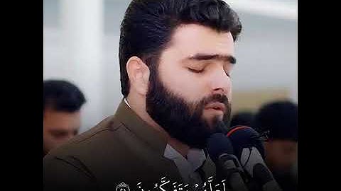 أواخر سورة الحشر بيشه قادر الكردي قرآن كريم Quran Karim Peshawa Qadr Al Kurdi360P