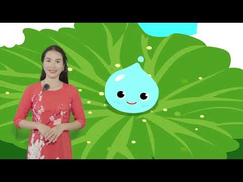 BÀI DẠY:Câu chuyện giọt nước ĐỘ TUỔI:3 4 tuổi