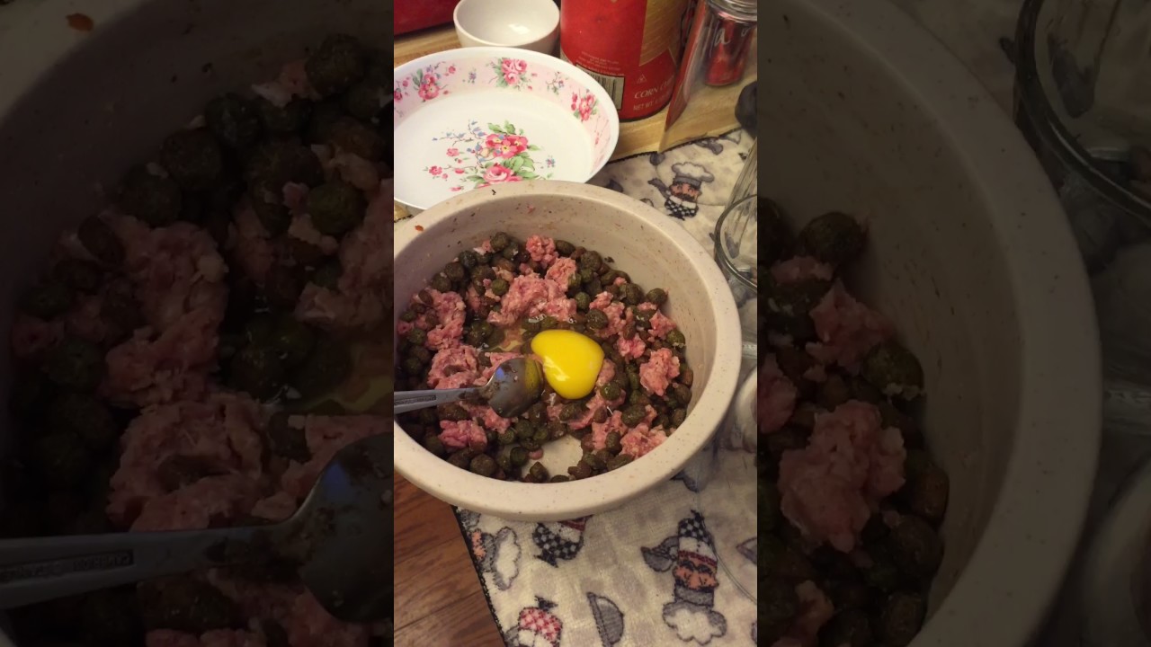 Alimentación de mi pitbull de 4 meses.