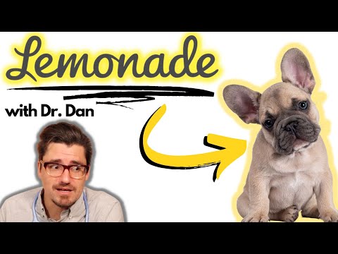वीडियो: एक पशु चिकित्सक बताते हैं कि आप अपने कुत्ते के लिए पालतू बीमा के बारे में क्या जानना चाहते हैं