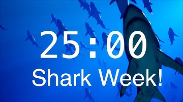 25 Minute Countdown Timer with Alarm | Relaxing Music | Shark Timer