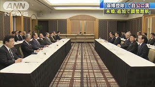 ひとり親世帯の税の控除を巡り調整難航(18/12/12)
