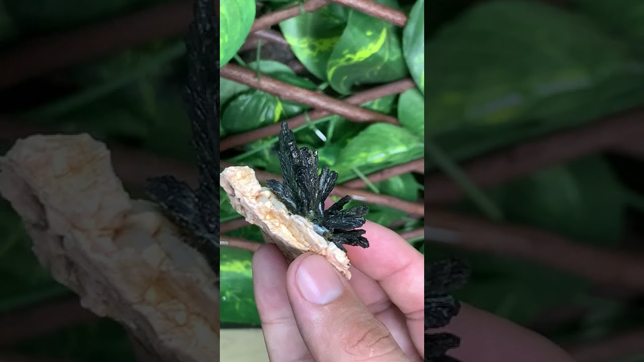 Epidote Cluster on matrix