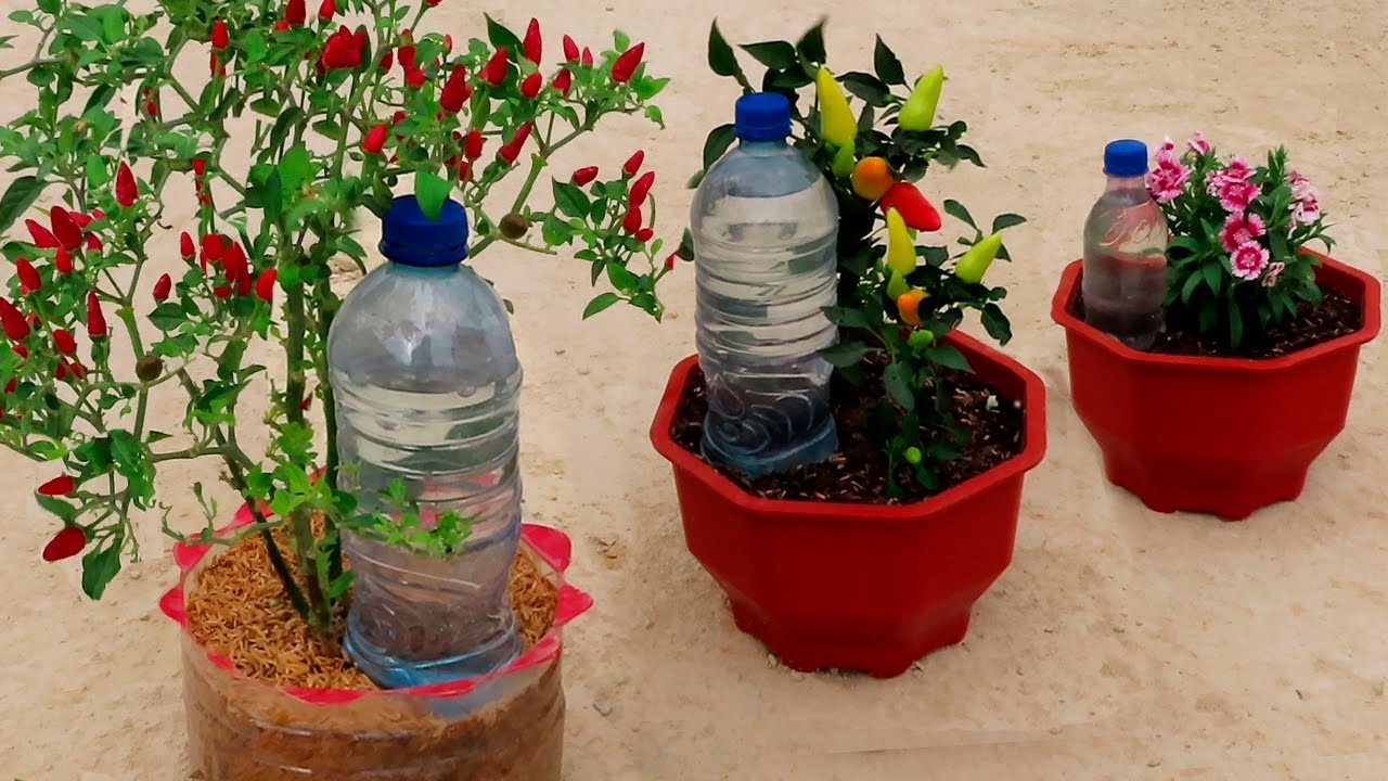 Riego por goteo para macetas con botellas de plástico 