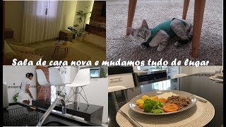 Transformação na sala e trocamos tudo de lugar, castramos nossa gatinha, cuidando da casa e rotina