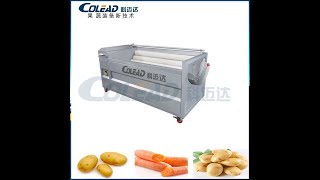 Colead food grade SUS304 stainless steel carrot spin peeling machine