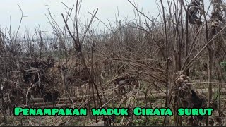 Incredible!! Cirata reservoir water level continues to drop, dried-up wild plants once submerged ...