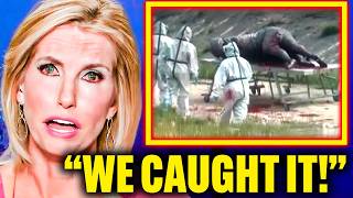 The US Government SHUT DOWN Expedition Bigfoot After SHOCKING Discovery
