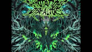 annotations of an autopsy - years of disgust (with lyrics)